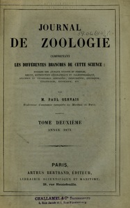 Sur l’hylodes martinicensis et ses métamorphoses